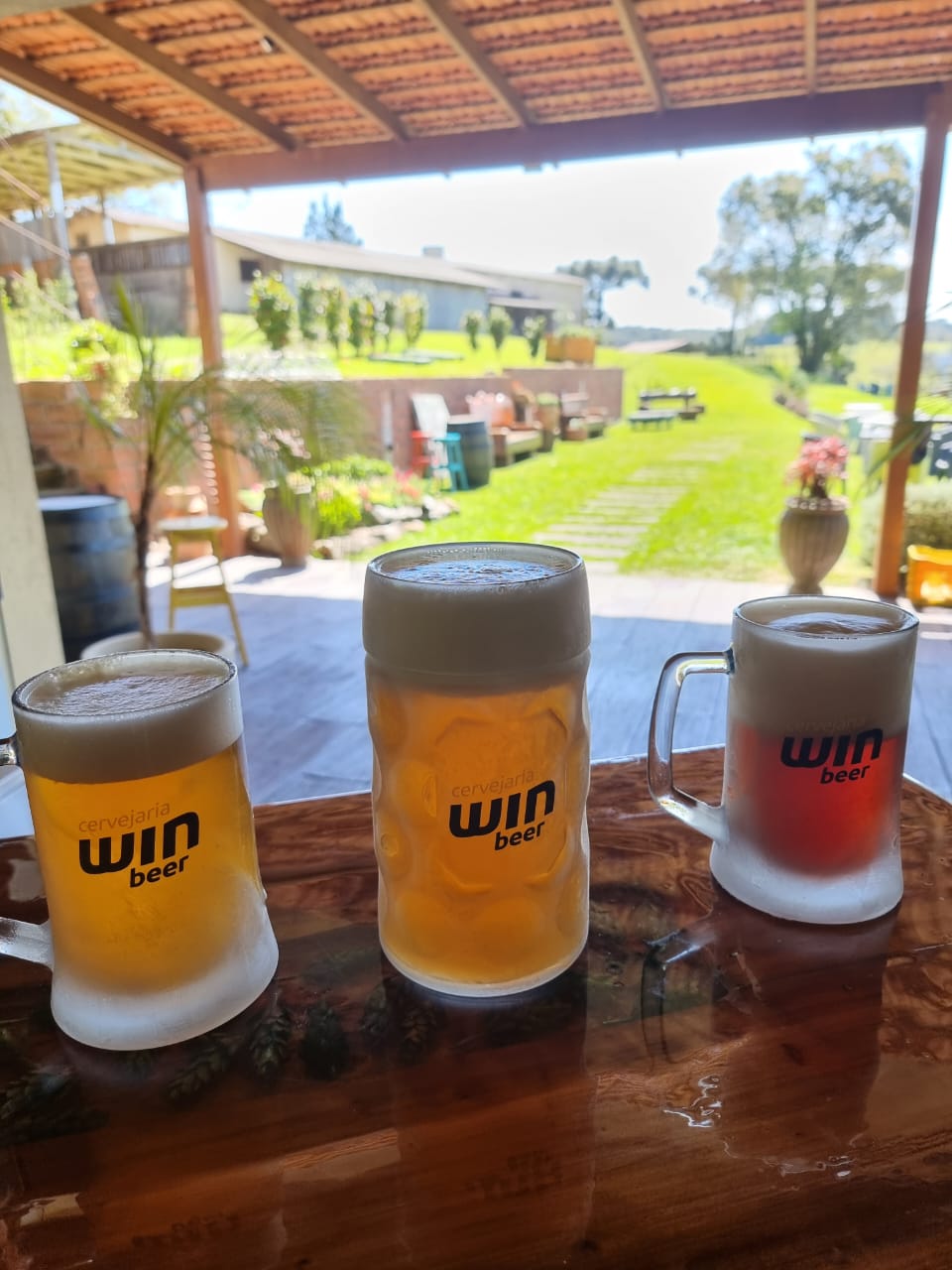 Três canecas de cerveja Win Beer